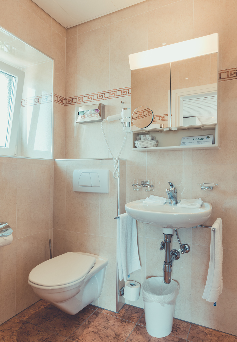 Hotel Tobler Ascona camera doppia panorama comfort vista lago privacy